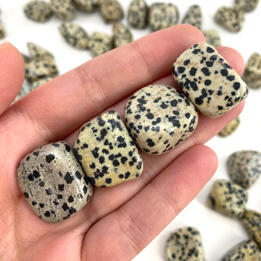 ONE Tumbled Dalmatian Jasper | tumbled stones, tumbled crystal, tumbled Dalmatian jasper, gemstones