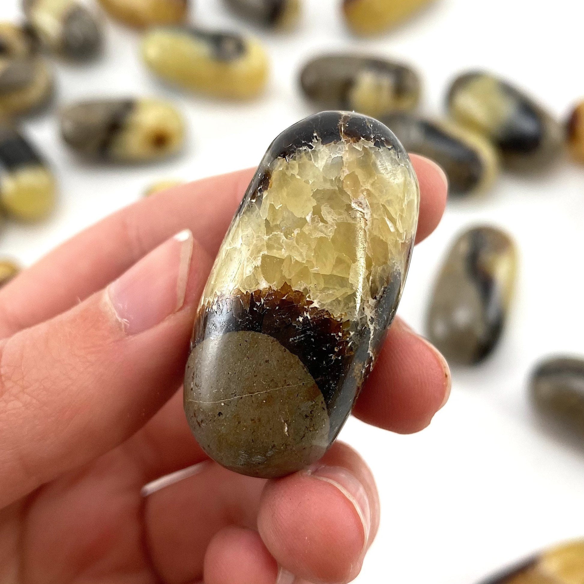 ONE Polished Septarian, septarian stone, tumbled septarian, yellow septarian tumble, septarian palm stone, dragon stone