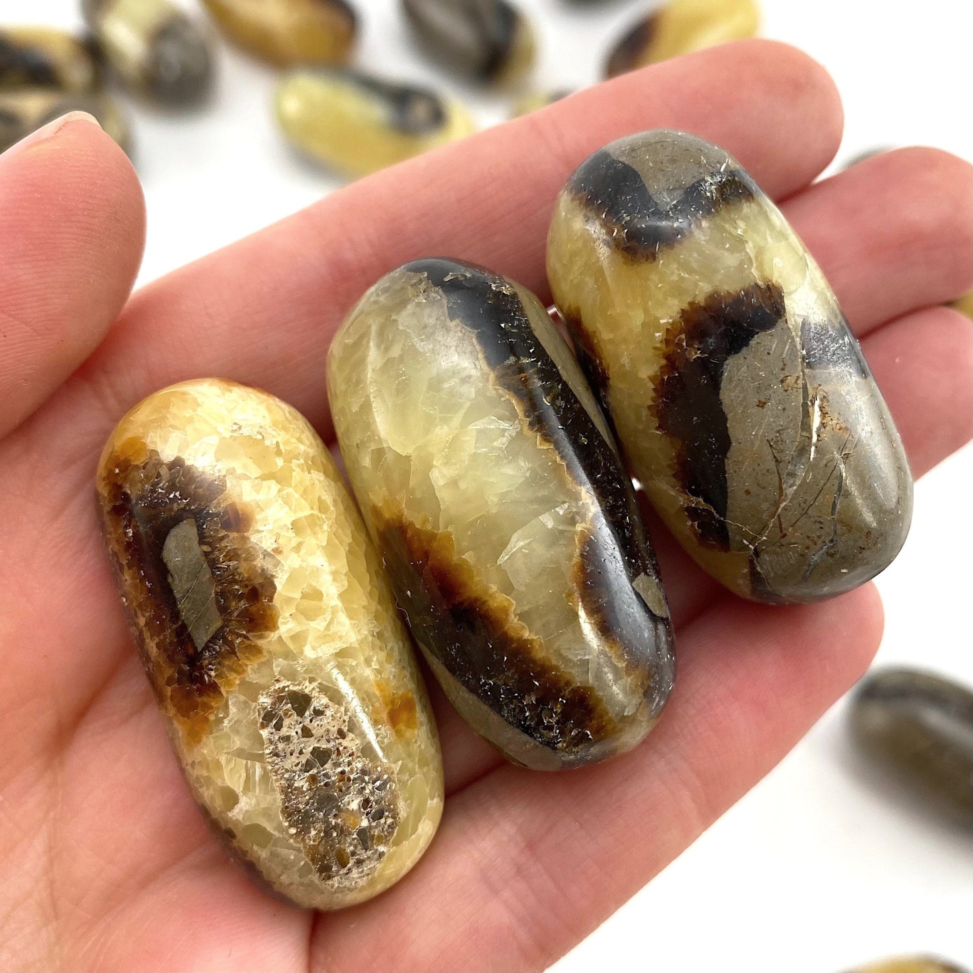 ONE Polished Septarian, septarian stone, tumbled septarian, yellow septarian tumble, septarian palm stone, dragon stone