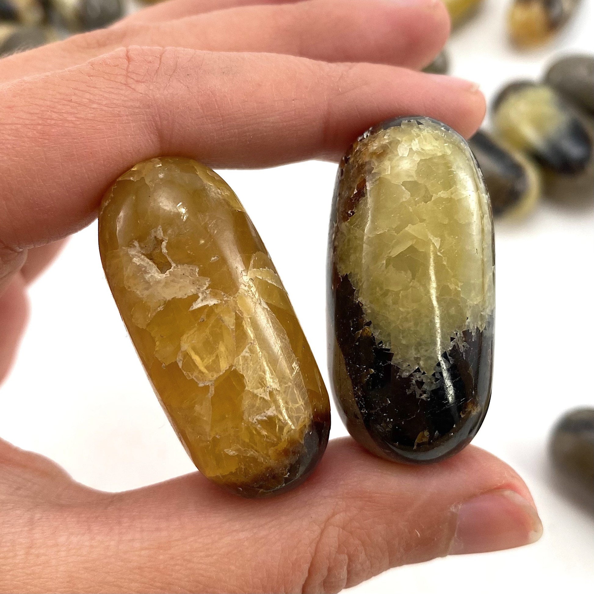 ONE Polished Septarian, septarian stone, tumbled septarian, yellow septarian tumble, septarian palm stone, dragon stone