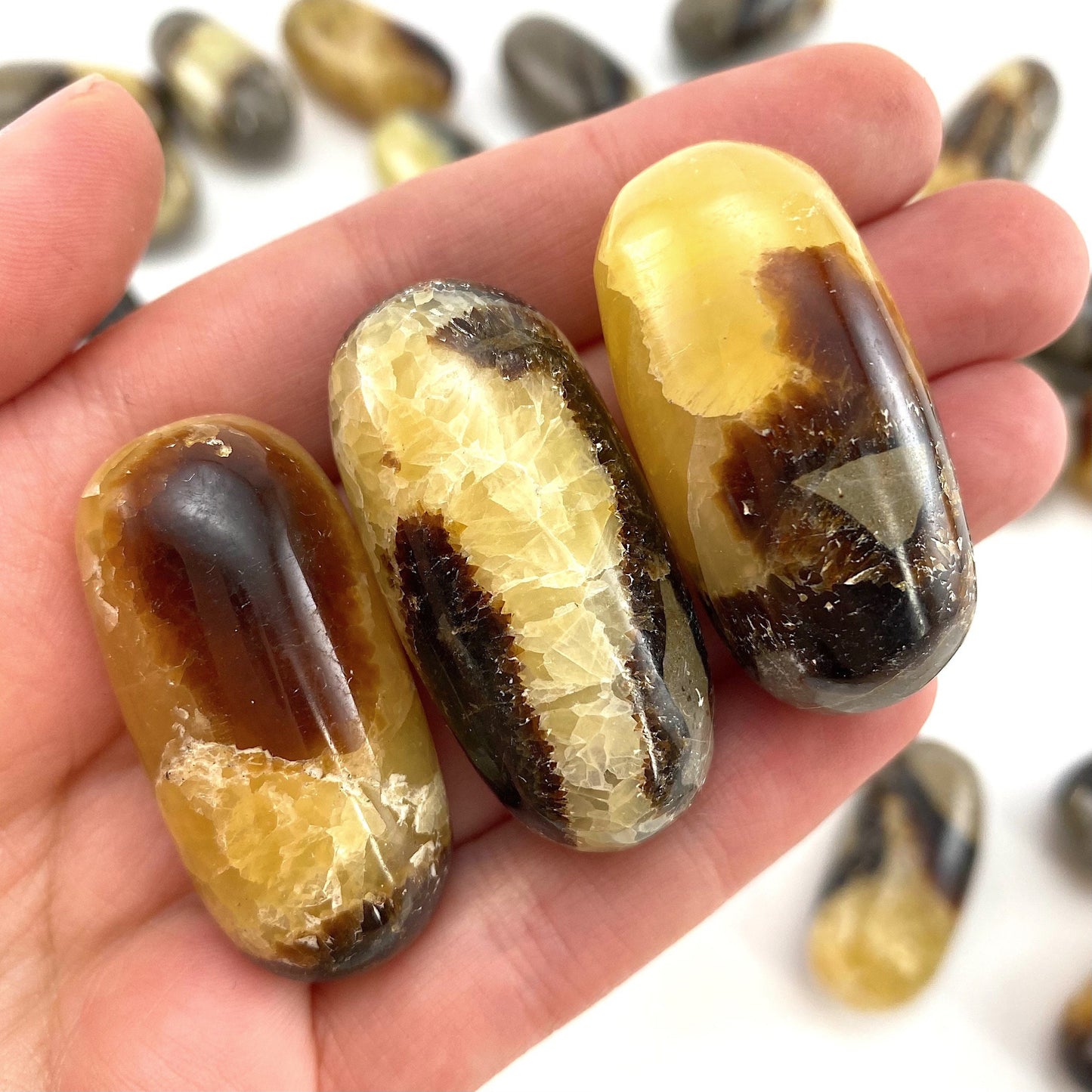 ONE Polished Septarian, septarian stone, tumbled septarian, yellow septarian tumble, septarian palm stone, dragon stone