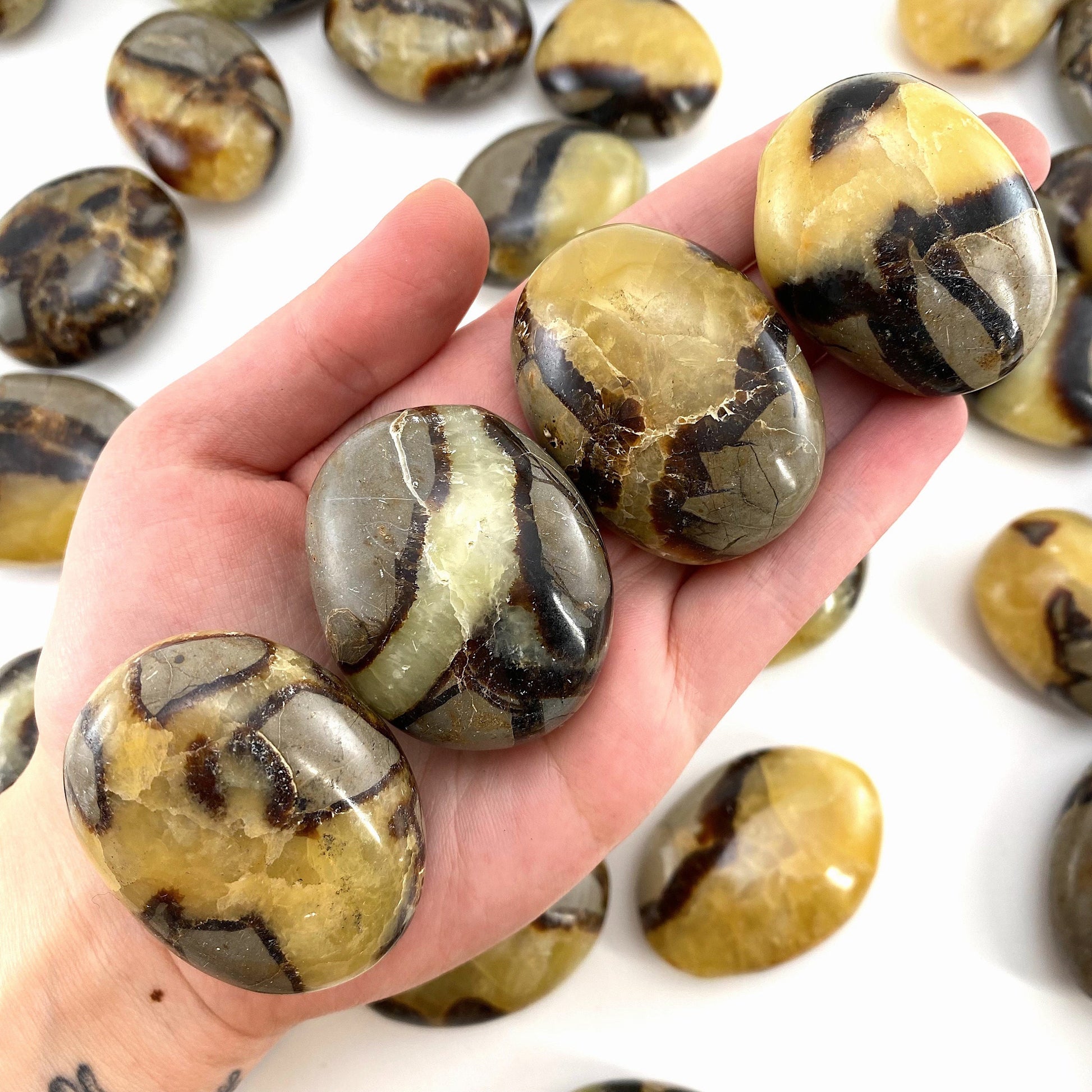 Septarian Palm stone, septarian, pocket stone, dragon stone, palm stone, polished septarian