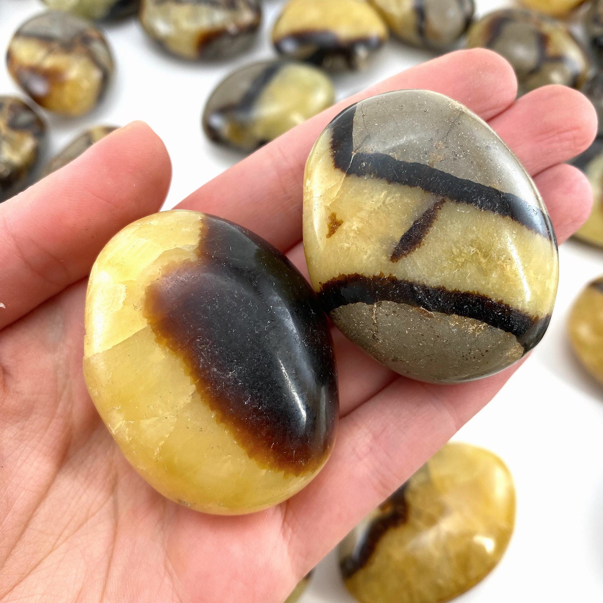 Septarian Palm stone, septarian, pocket stone, dragon stone, palm stone, polished septarian