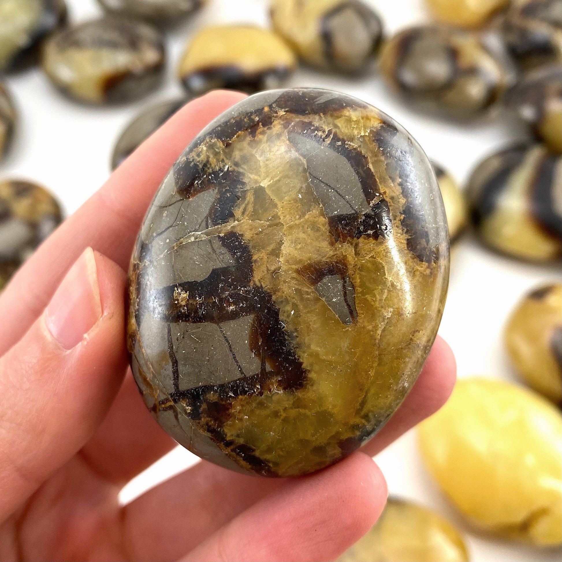 Septarian Palm stone, septarian, pocket stone, dragon stone, palm stone, polished septarian