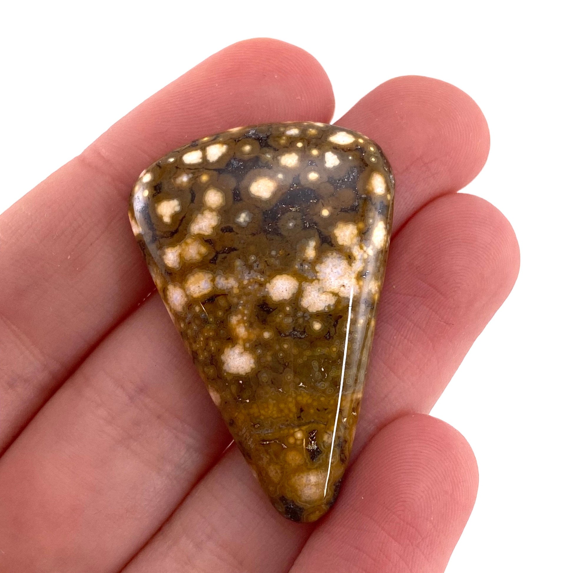 Ocean Jasper Cabochon, crystal cabochon, ocean jasper, gemstone cabochon, orbicular jasper, orbicular jasper cabochon