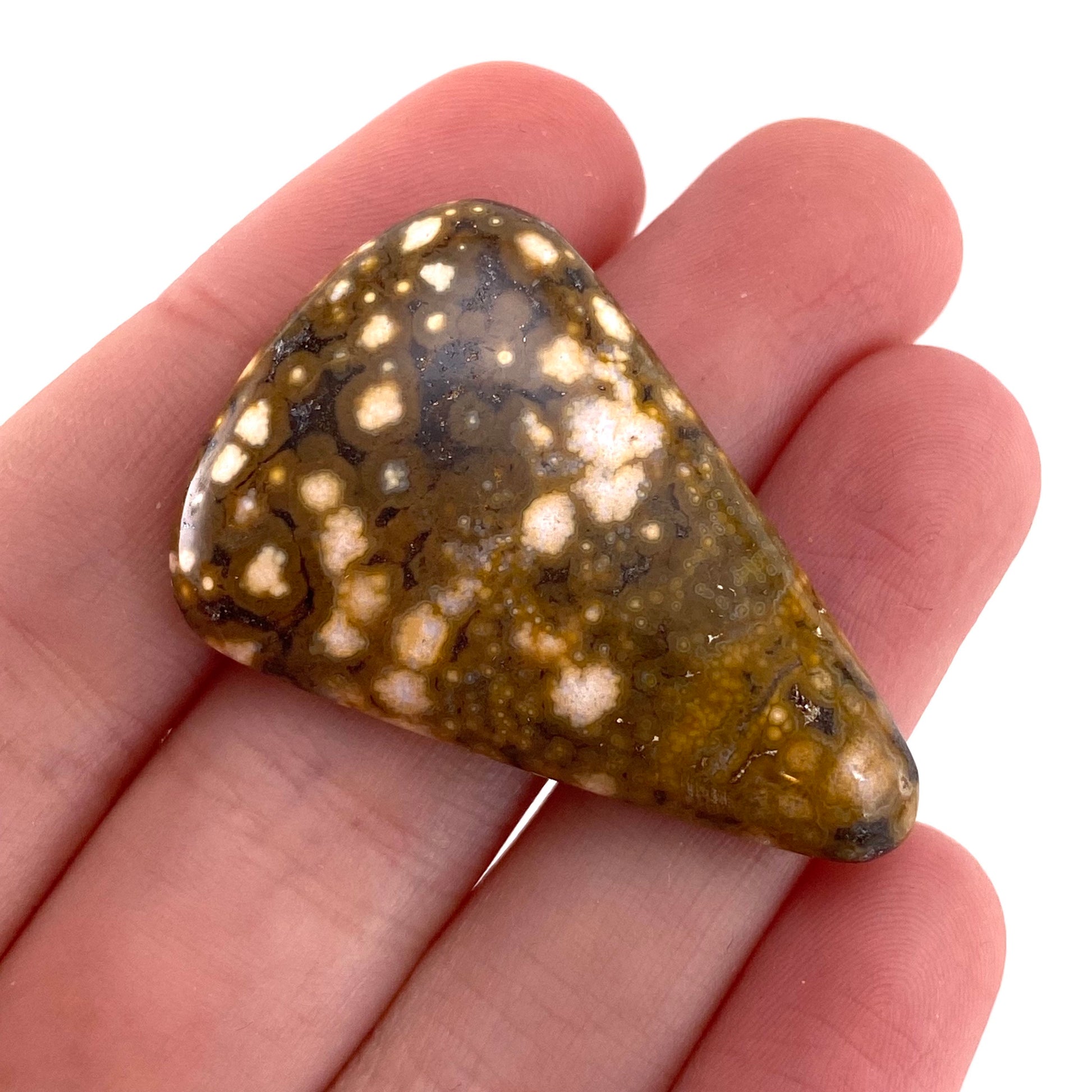 Ocean Jasper Cabochon, crystal cabochon, ocean jasper, gemstone cabochon, orbicular jasper, orbicular jasper cabochon