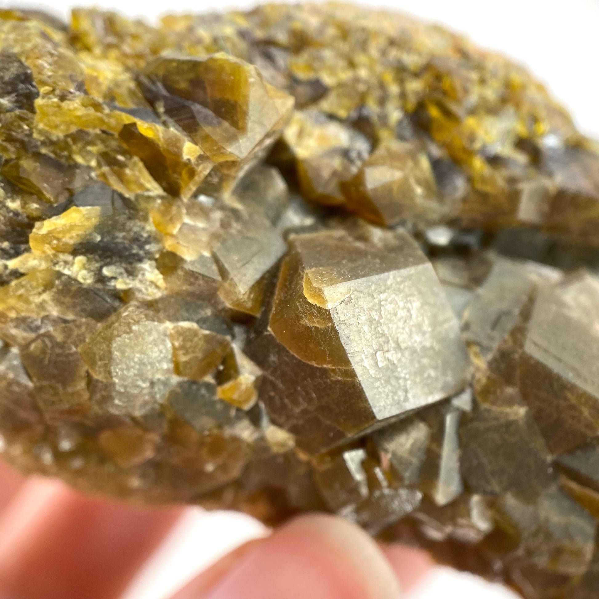 Andradite Garnet (Arizona, USA) | green garnet, raw garnet crystal, andradite garnet crystal, raw green garnet
