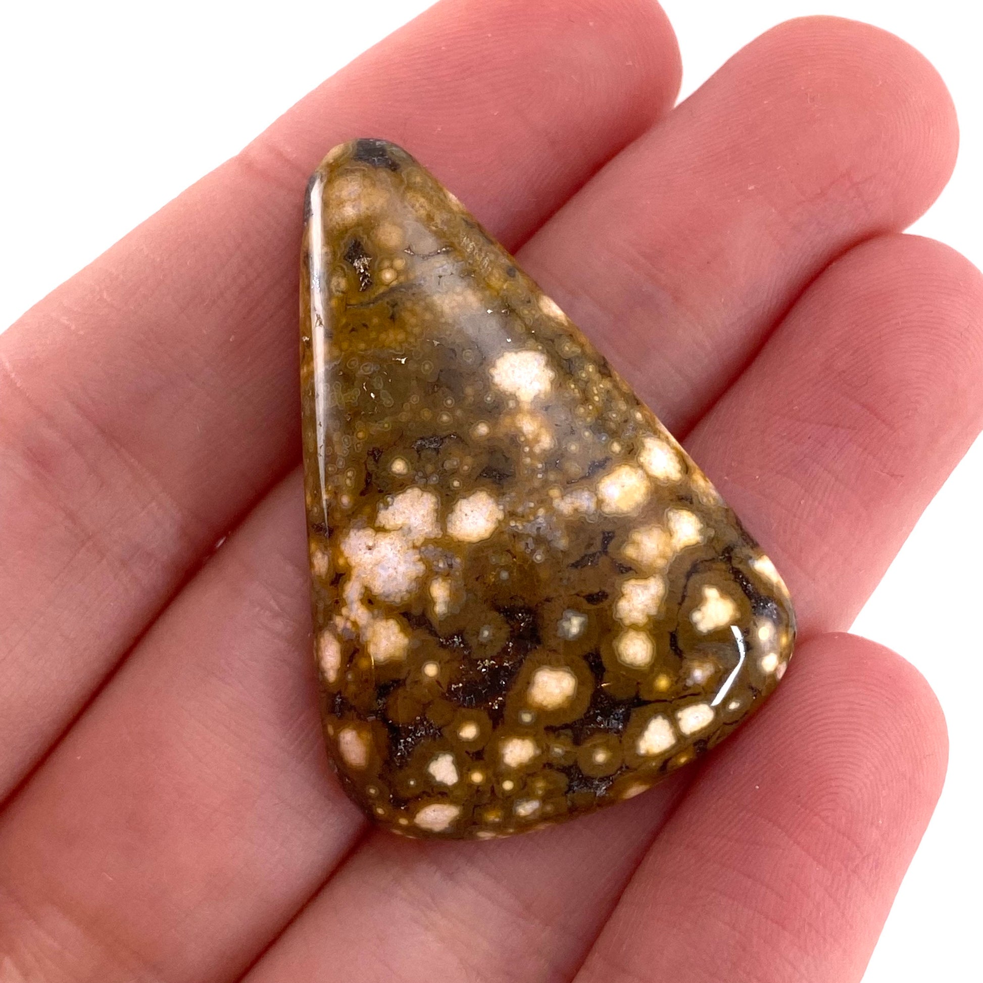 Ocean Jasper Cabochon, crystal cabochon, ocean jasper, gemstone cabochon, orbicular jasper, orbicular jasper cabochon