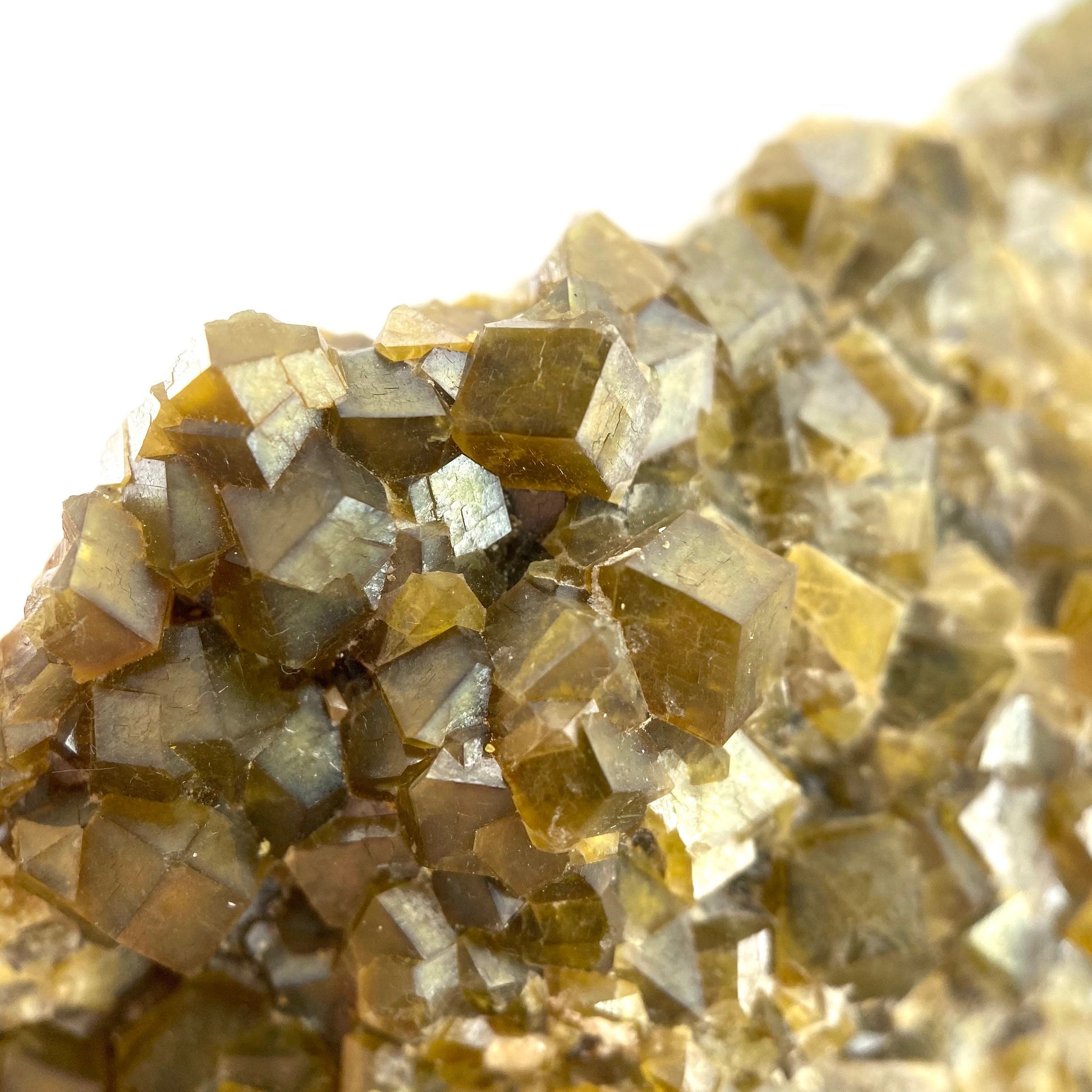 Andradite Garnet (Arizona, USA) | green garnet, raw garnet crystal, andradite garnet crystal, raw green garnet