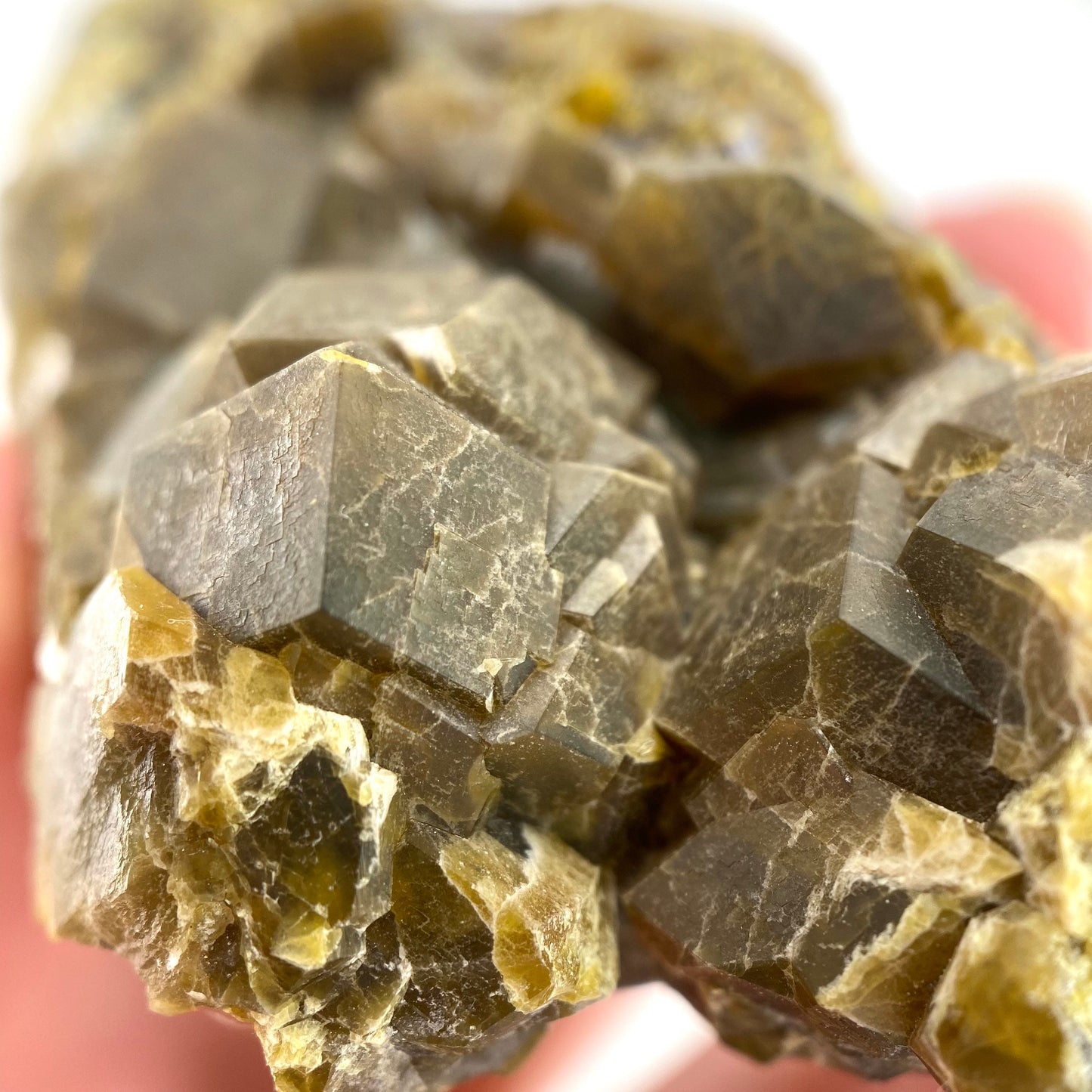 Andradite Garnet (Arizona, USA) | green garnet, raw garnet crystal, andradite garnet crystal, raw green garnet