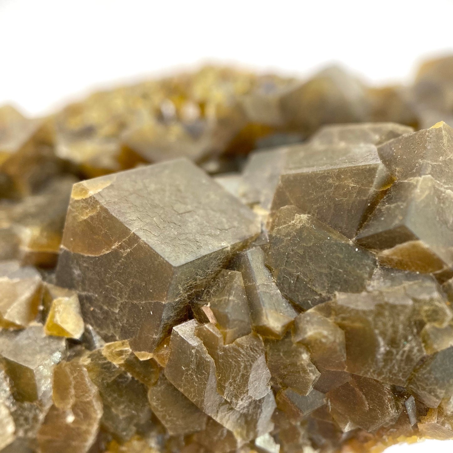 Andradite Garnet (Arizona, USA) | green garnet, raw garnet crystal, andradite garnet crystal, raw green garnet