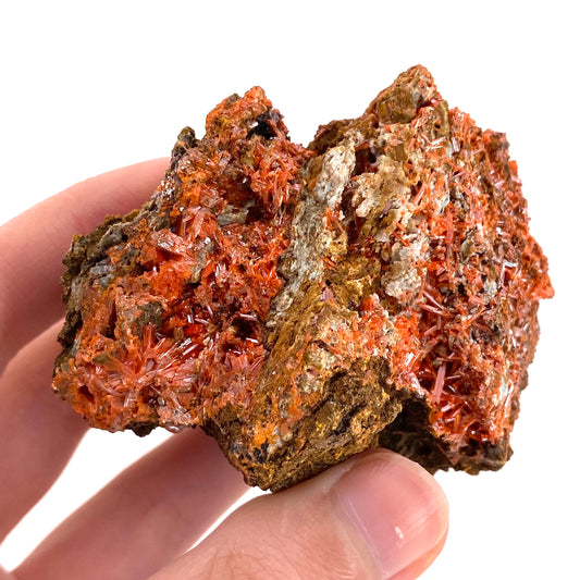 Crocoite Specimen (Australia), raw crocoite, crocoite crystal, orange crocoite, mineral specimen, rare minerals