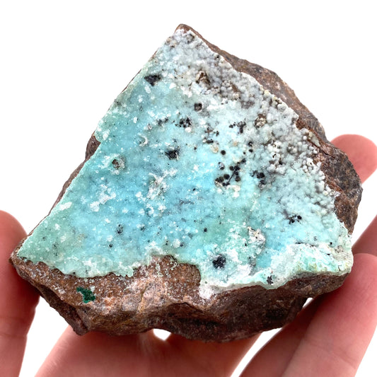 Crazy Sparkly Druzy Chrysocolla Specimen (Congo), raw chrysocolla, druzy chrysocolla, chrysocolla crystal, raw crystals