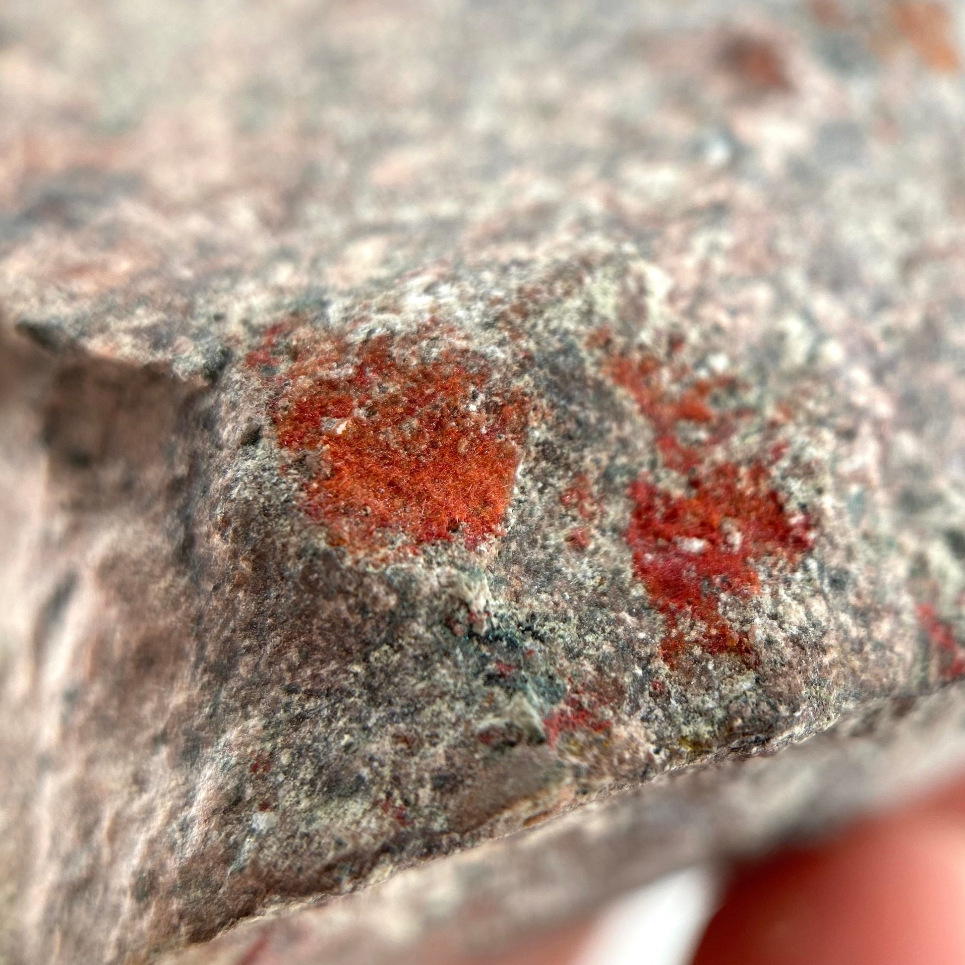 Rare! Chalcotrichite Specimen (Arizona) | Chalcotrichite crystal, rare crystals