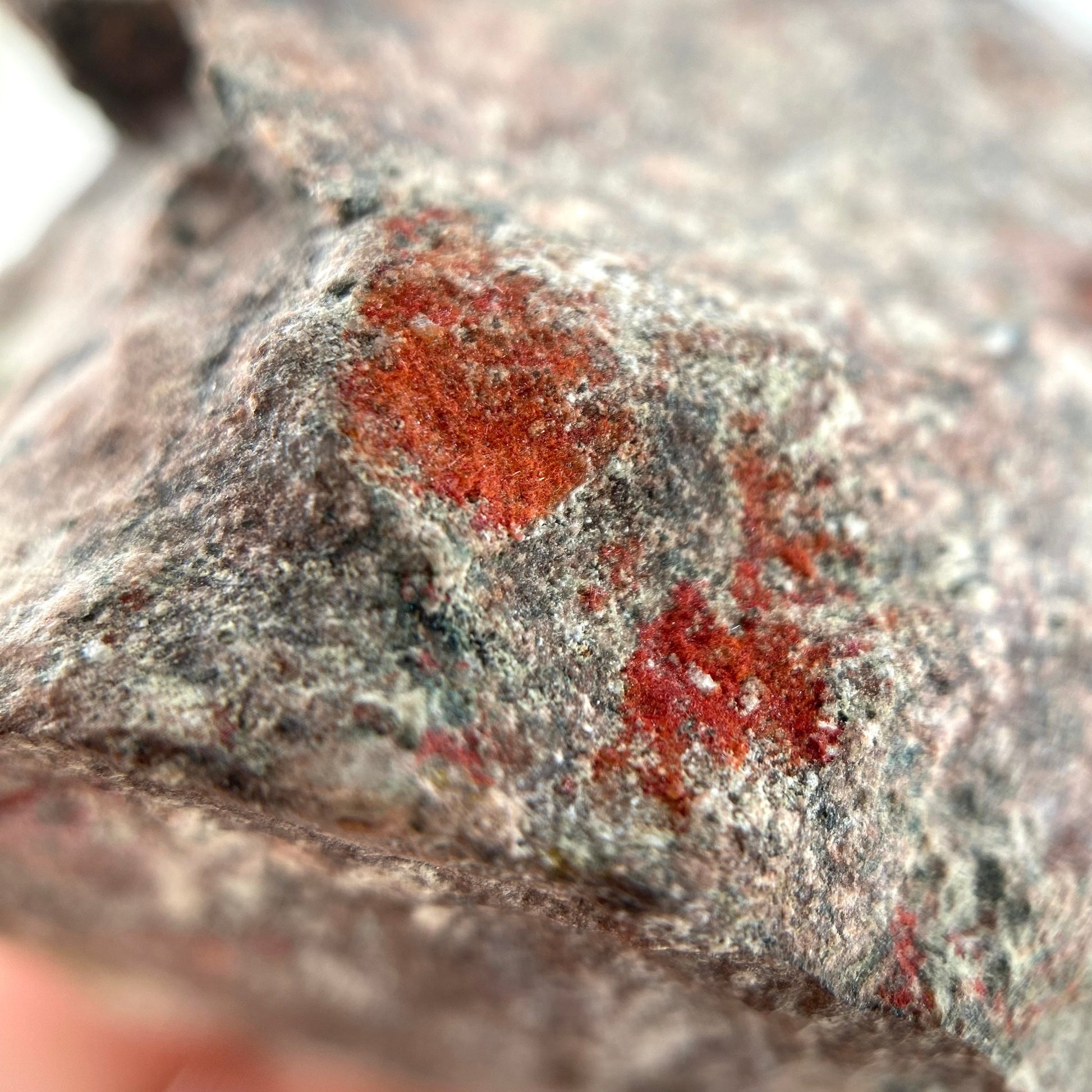 Rare! Chalcotrichite Specimen (Arizona) | Chalcotrichite crystal, rare crystals