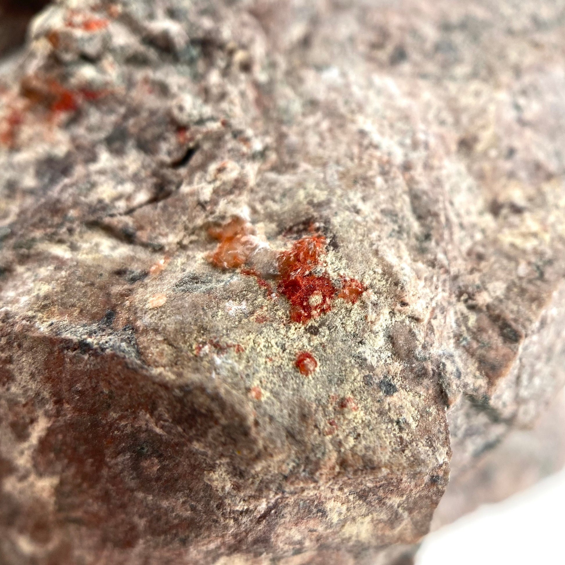 Rare! Chalcotrichite Specimen (Arizona) | Chalcotrichite crystal, rare crystals