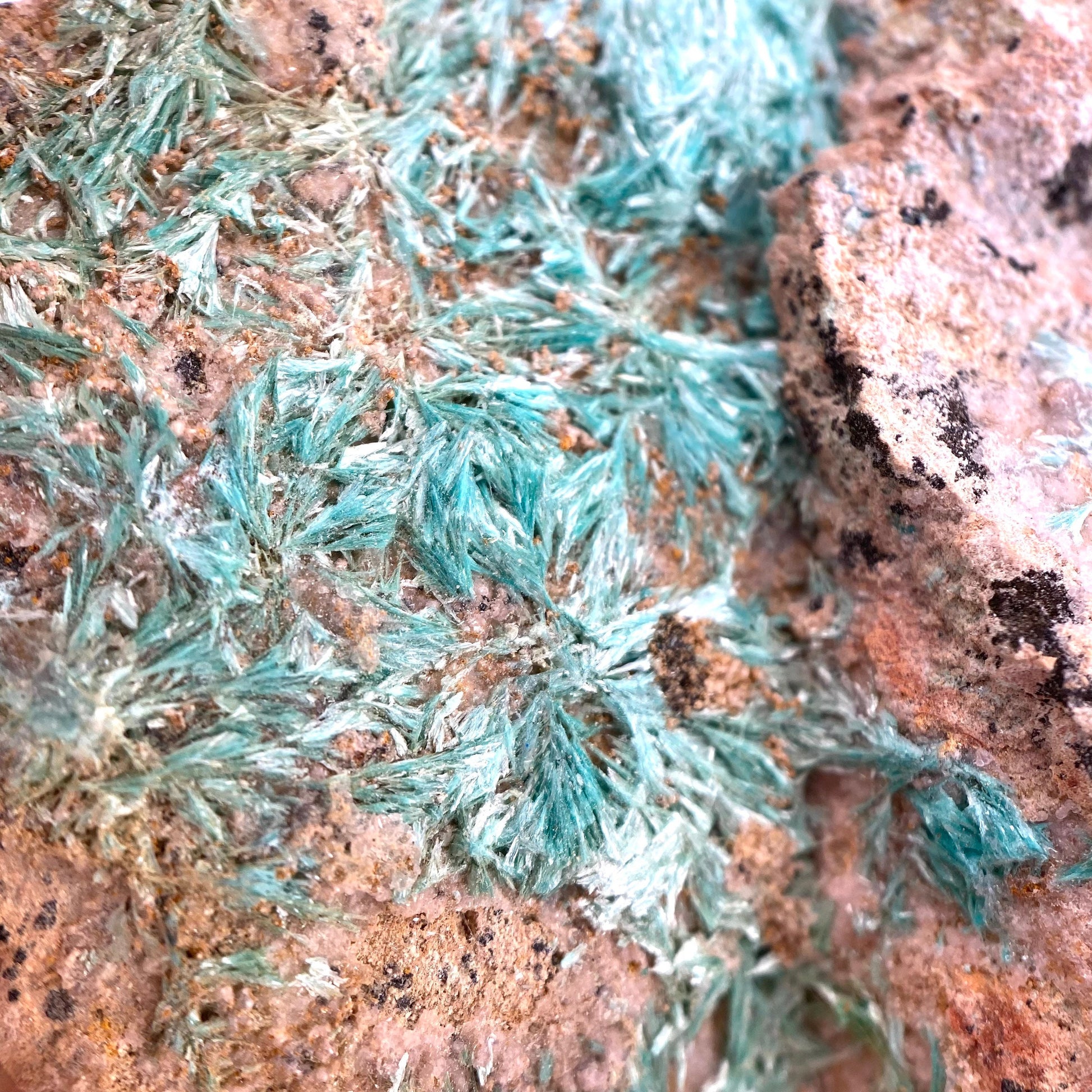 Aurichalcite Specimen (Arizona) | Aurichalcite crystal, aurichalcite cluster