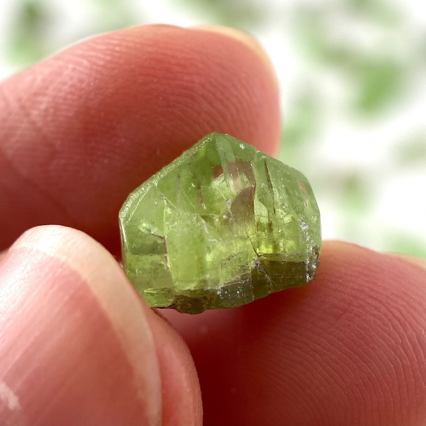 ONE Terminated Peridot Crystal (Pakistan) | Forsterite var. Peridot, raw peridot, natural peridot, peridot crystal, august birthstone