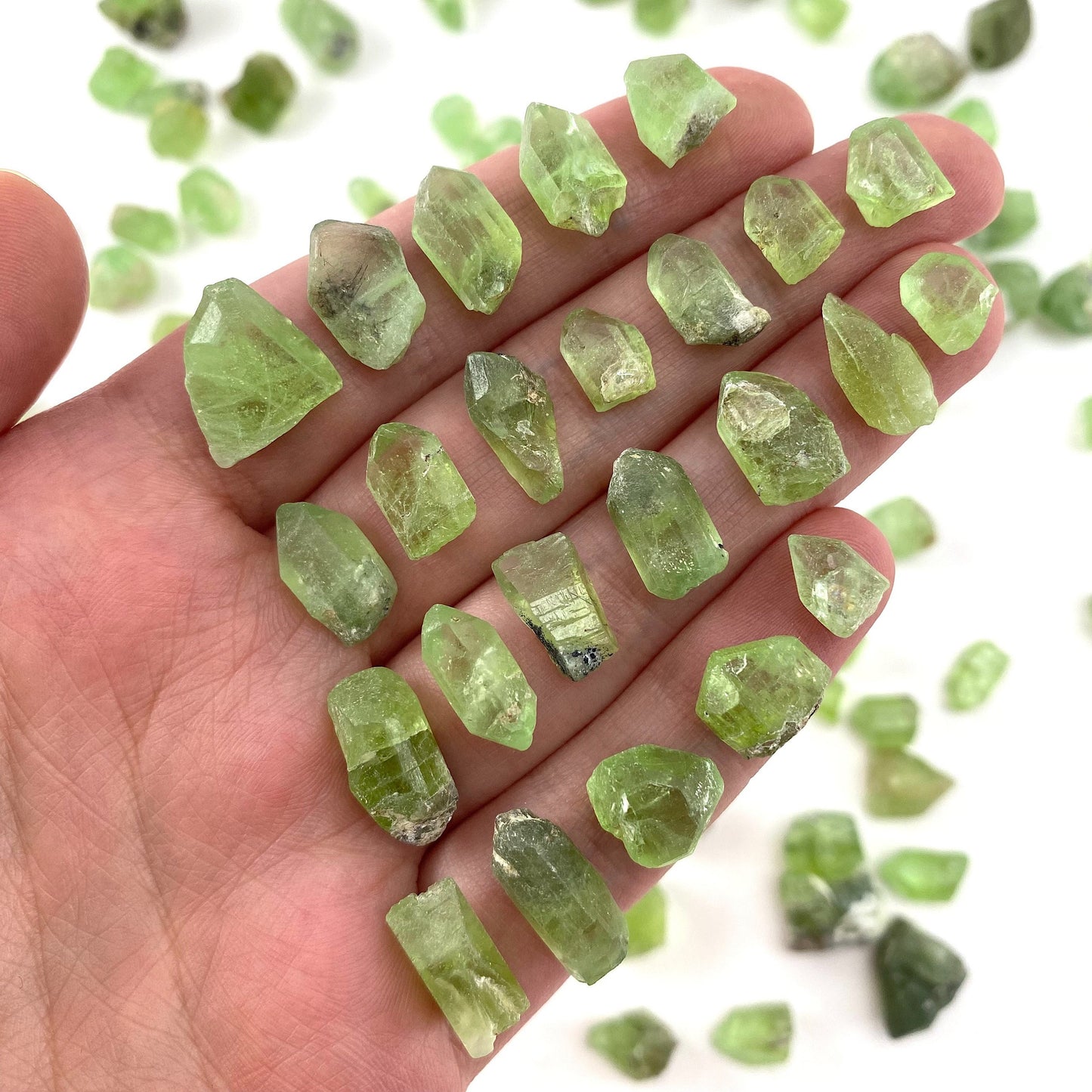 ONE Terminated Peridot Crystal (Pakistan) | Forsterite var. Peridot, raw peridot, natural peridot, peridot crystal, august birthstone