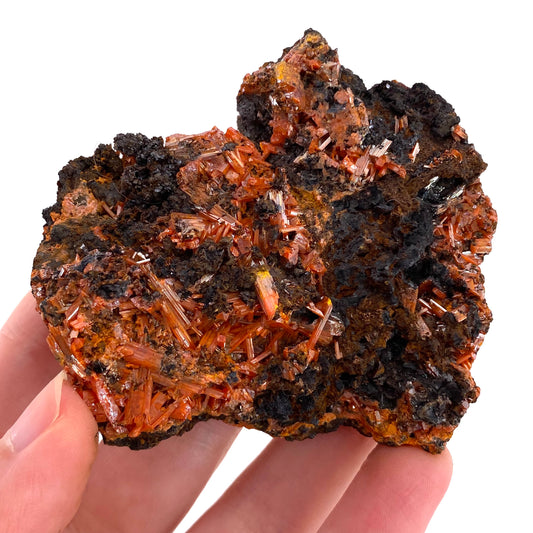 Crocoite Specimen (Australia), raw crocoite, crocoite crystal, orange crocoite, mineral specimen, rare minerals