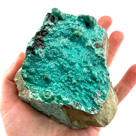 Chrysocolla Specimen (Congo), raw chrysocolla, botryoidal chrysocolla, chrysocolla crystal, rare crystals