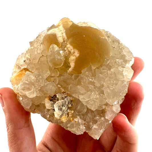 Yellow Botryoidal Fluorite on Quartz (India) | fried egg crystal, egg fluorite, fluorite crystal, mineral specimen, yellow fluorite