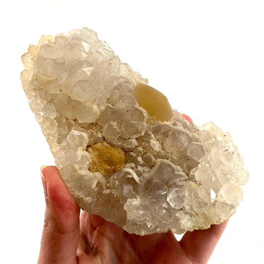 Yellow Botryoidal Fluorite on Quartz (India) | fried egg crystal, egg fluorite, fluorite crystal, mineral specimen, yellow fluorite