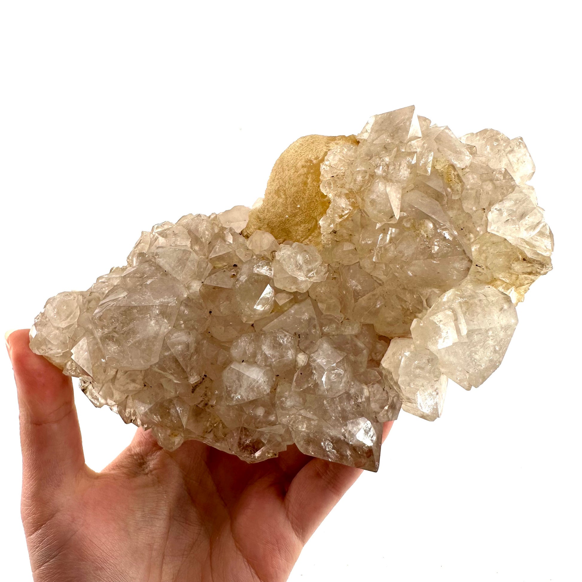 Yellow Botryoidal Fluorite on Quartz (India) | fried egg crystal, egg fluorite, fluorite crystal, mineral specimen, yellow fluorite