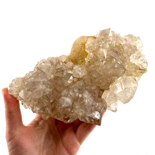 Yellow Botryoidal Fluorite on Quartz (India) | fried egg crystal, egg fluorite, fluorite crystal, mineral specimen, yellow fluorite