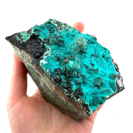 Chrysocolla Specimen (Congo), raw chrysocolla, botryoidal chrysocolla, chrysocolla crystal, rare crystals