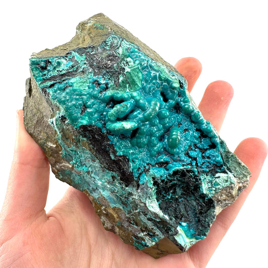 Chrysocolla Specimen (Congo), raw chrysocolla, botryoidal chrysocolla, chrysocolla crystal, rare crystals