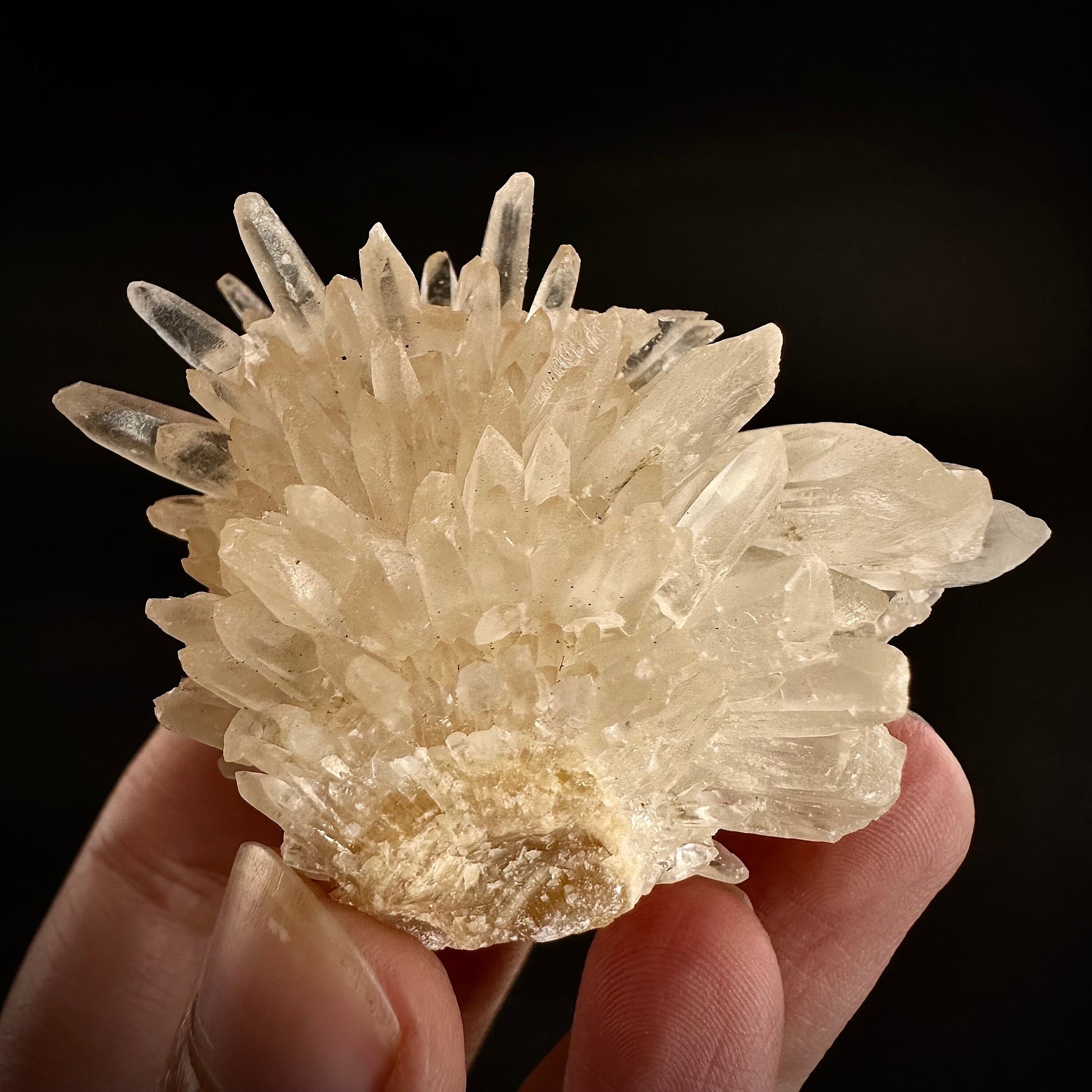 Calcite Cluster (Indonesia) | Scalenohedral calcite, white calcite, calcite crystal, hedgehog calcite, crystals, mineral specimen