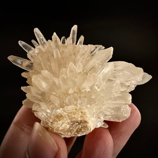 Calcite Cluster (Indonesia) | Scalenohedral calcite, white calcite, calcite crystal, hedgehog calcite, crystals, mineral specimen