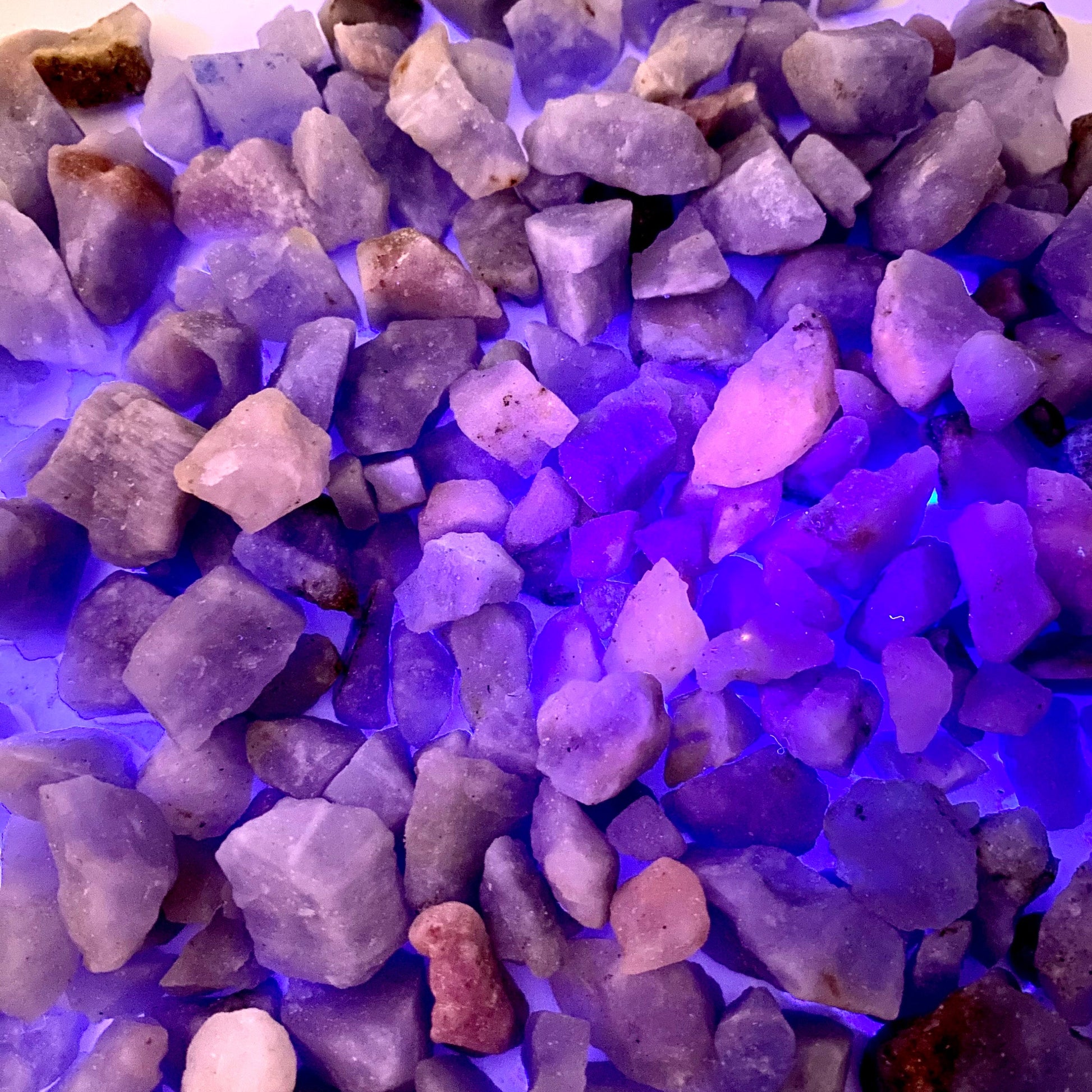 5 Grams of Blue Hackmanite Chips | raw hackmanite, blue hackmanite, hackmanite crystal, purple hackmanite