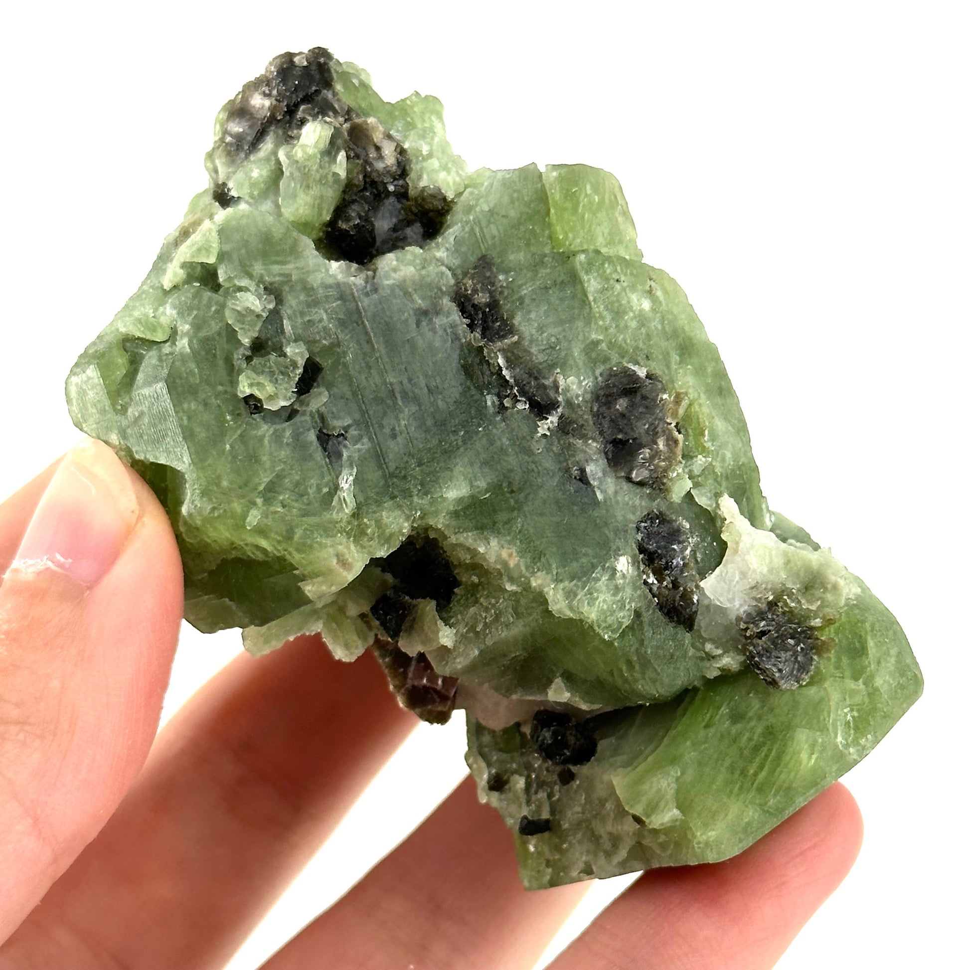 Diopside & Black Mica (Afghanistan) | chrome diopside, diopside specimen, green diopside, diopside crystal, mineral specimen, crysta
