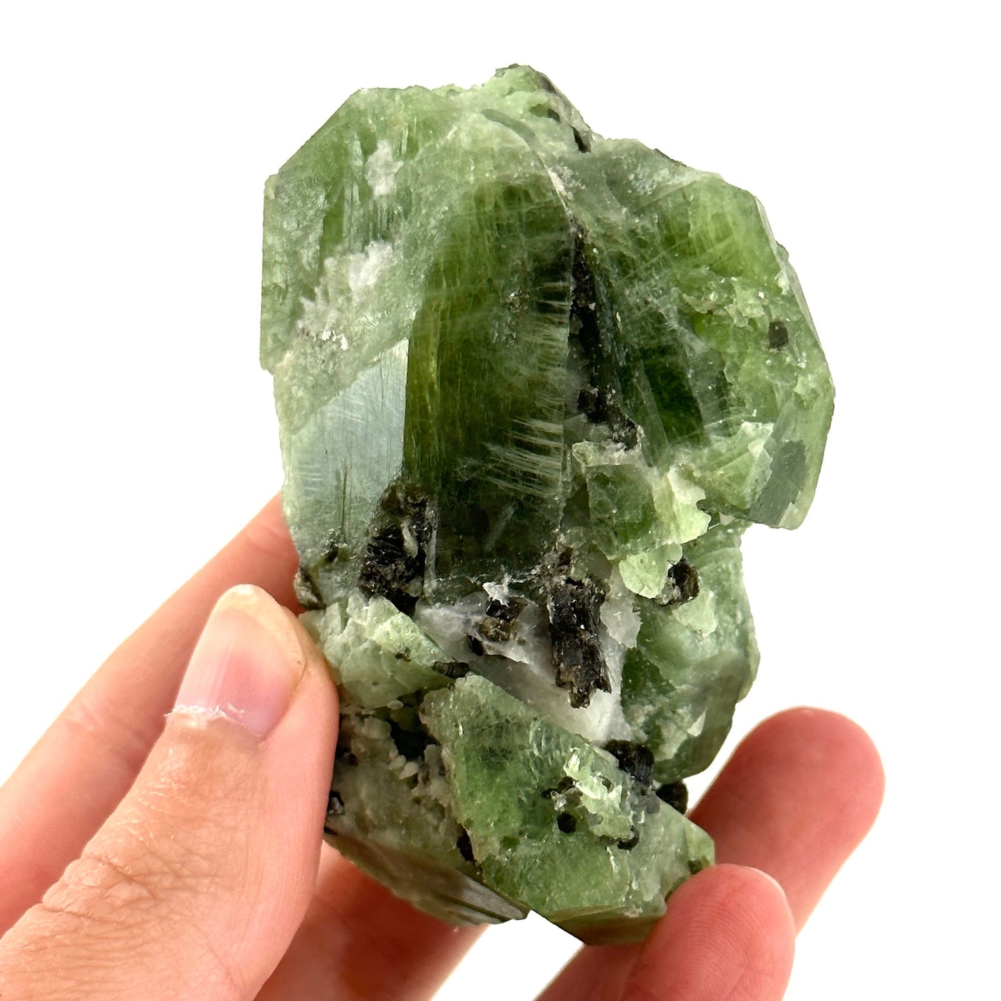 Diopside & Black Mica (Afghanistan) | chrome diopside, diopside specimen, green diopside, diopside crystal, mineral specimen, crysta