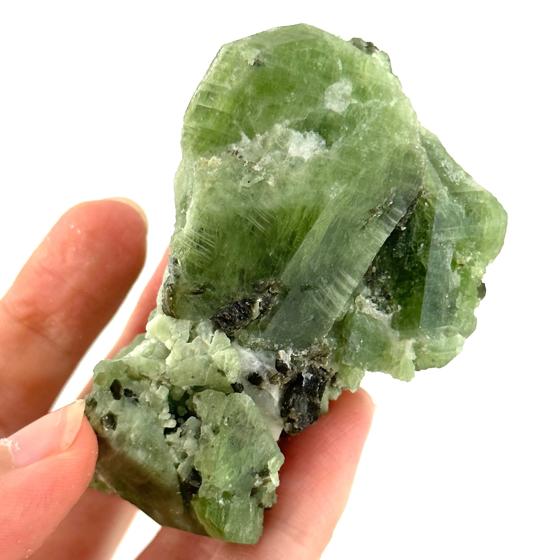 Diopside & Black Mica (Afghanistan) | chrome diopside, diopside specimen, green diopside, diopside crystal, mineral specimen, crysta