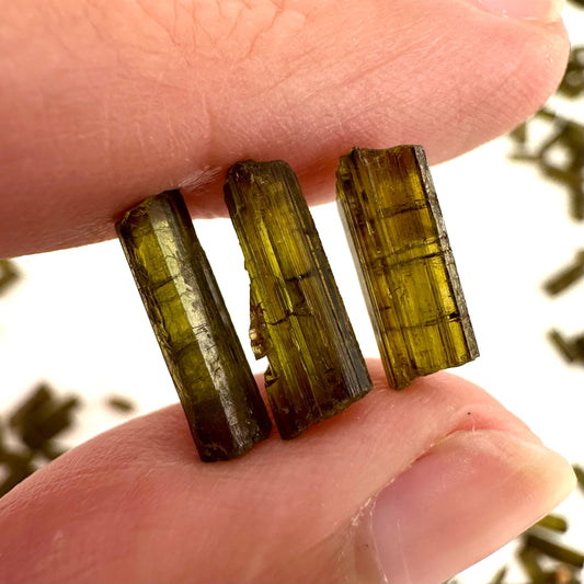 Mini Epidote Crystals | 1 Gram (Pakistan), epidote specimen, green epidote, epidote crystal, mineral specimen, crystals