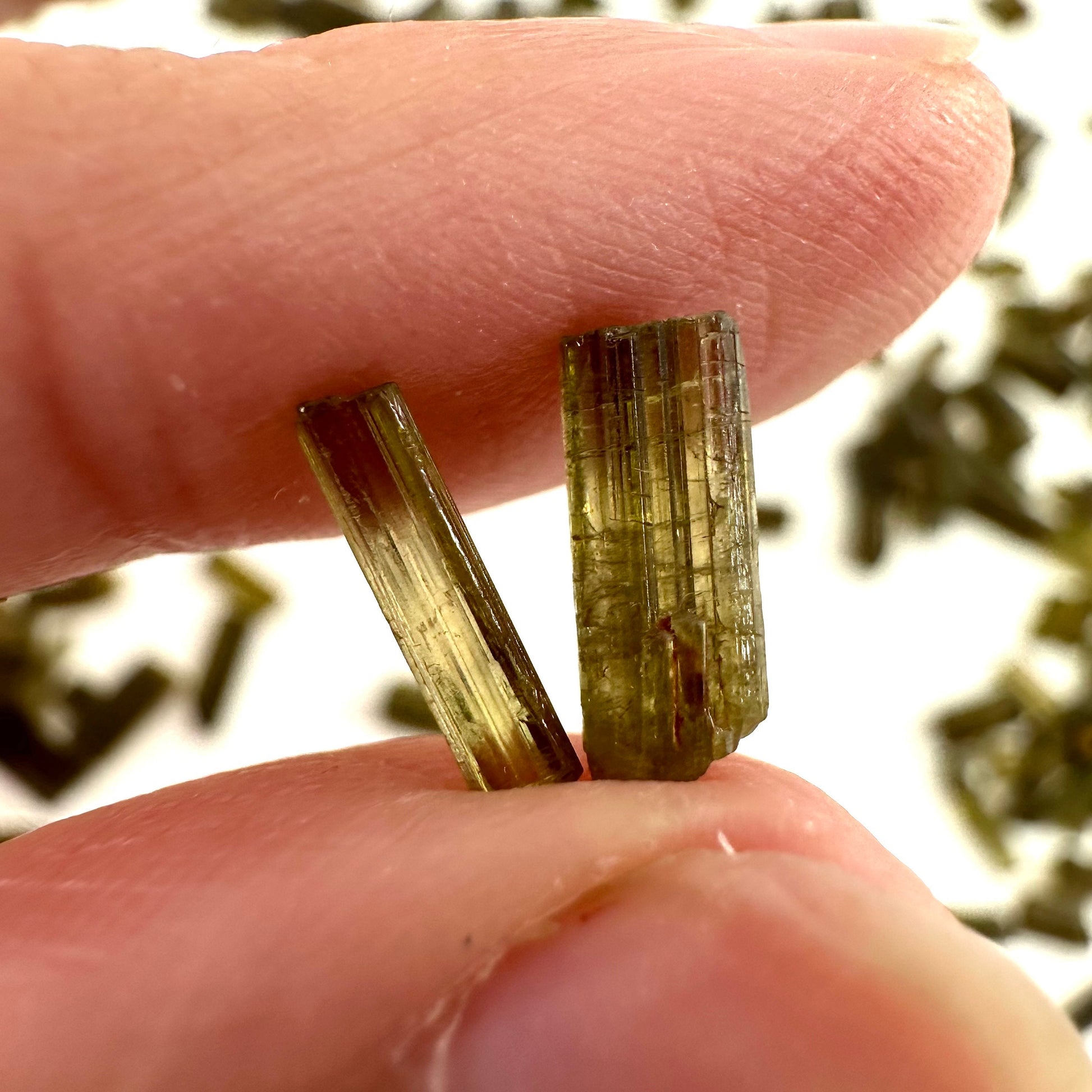 Mini Epidote Crystals | 1 Gram (Pakistan), epidote specimen, green epidote, epidote crystal, mineral specimen, crystals
