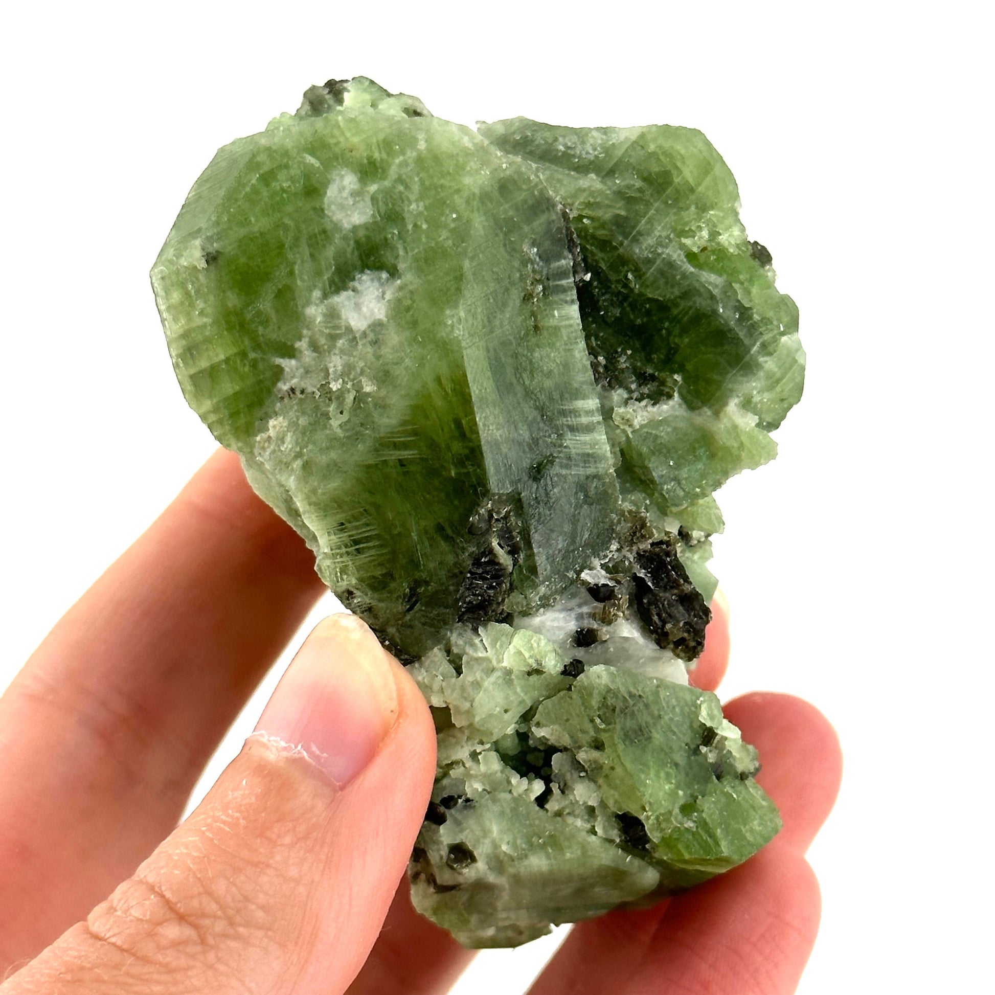 Diopside & Black Mica (Afghanistan) | chrome diopside, diopside specimen, green diopside, diopside crystal, mineral specimen, crysta