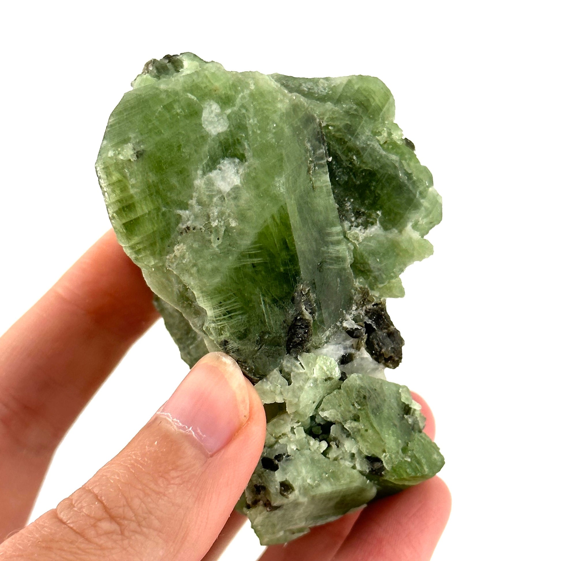 Diopside & Black Mica (Afghanistan) | chrome diopside, diopside specimen, green diopside, diopside crystal, mineral specimen, crysta
