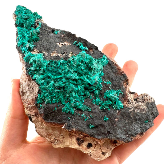 Dioptase Specimen (Namibia), raw dioptase, dioptase crystal, mineral specimen