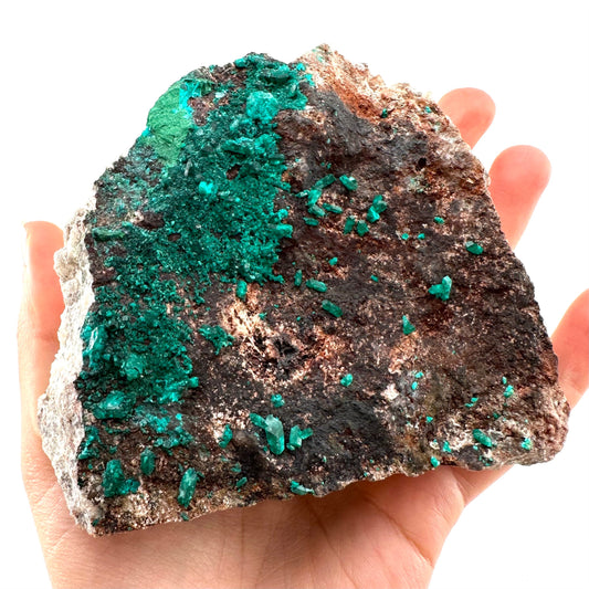 Dioptase Specimen (Namibia), raw dioptase, dioptase crystal, mineral specimen