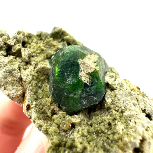 Demantoid Garnet & Diopside on Matrix (BeIqeys Mountain) | green garnet, rare minerals, demantoid garnet crystal, mineral specimen