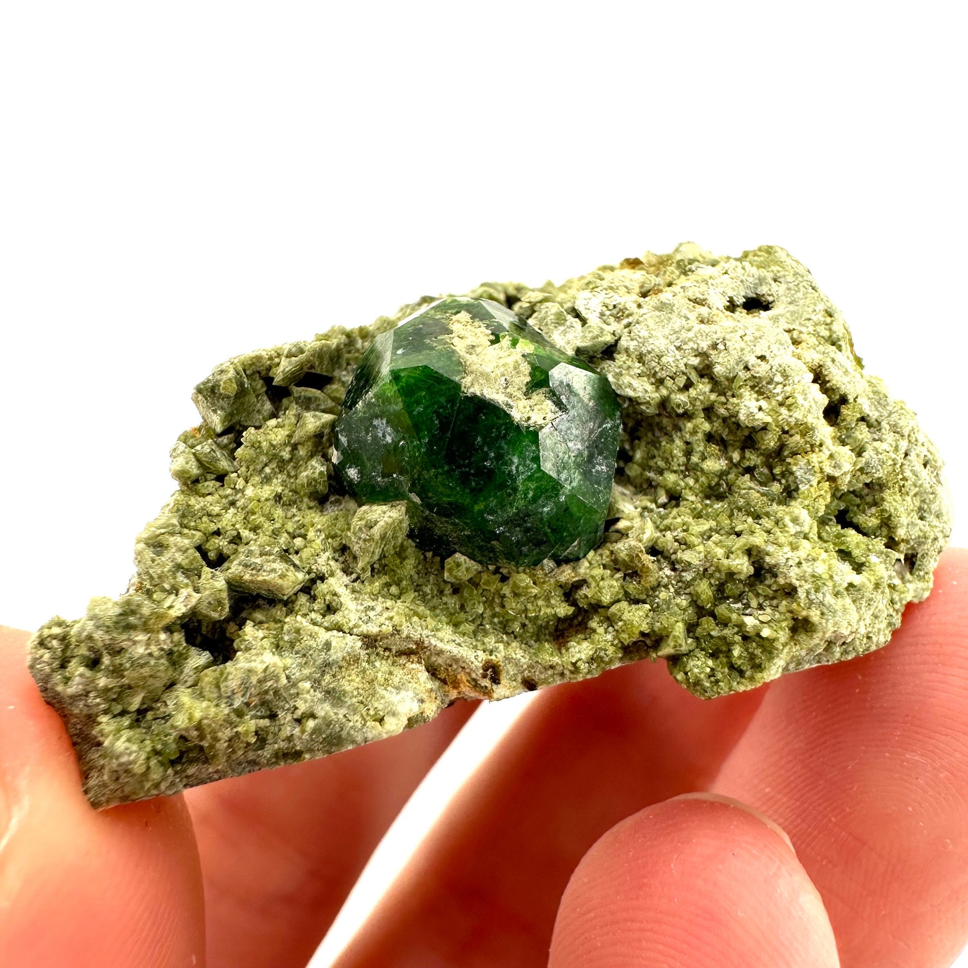 Demantoid Garnet & Diopside on Matrix (BeIqeys Mountain) | green garnet, rare minerals, demantoid garnet crystal, mineral specimen