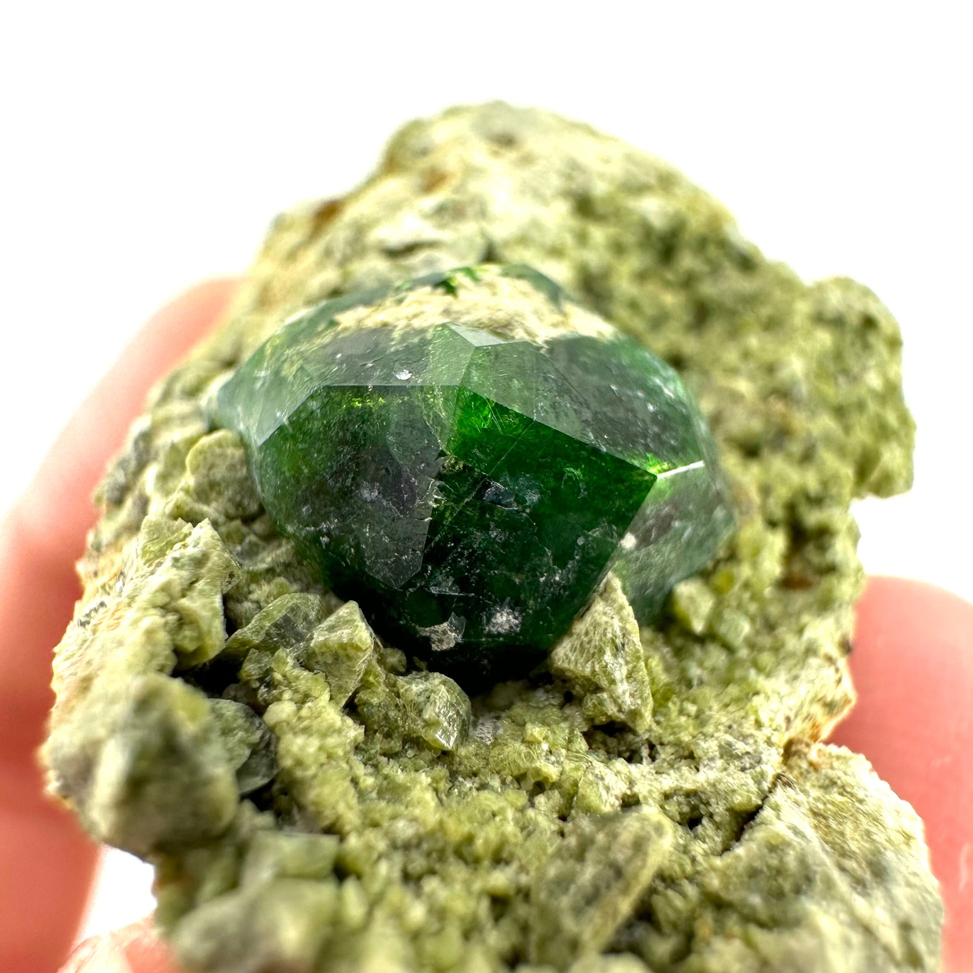 Demantoid Garnet & Diopside on Matrix (BeIqeys Mountain) | green garnet, rare minerals, demantoid garnet crystal, mineral specimen