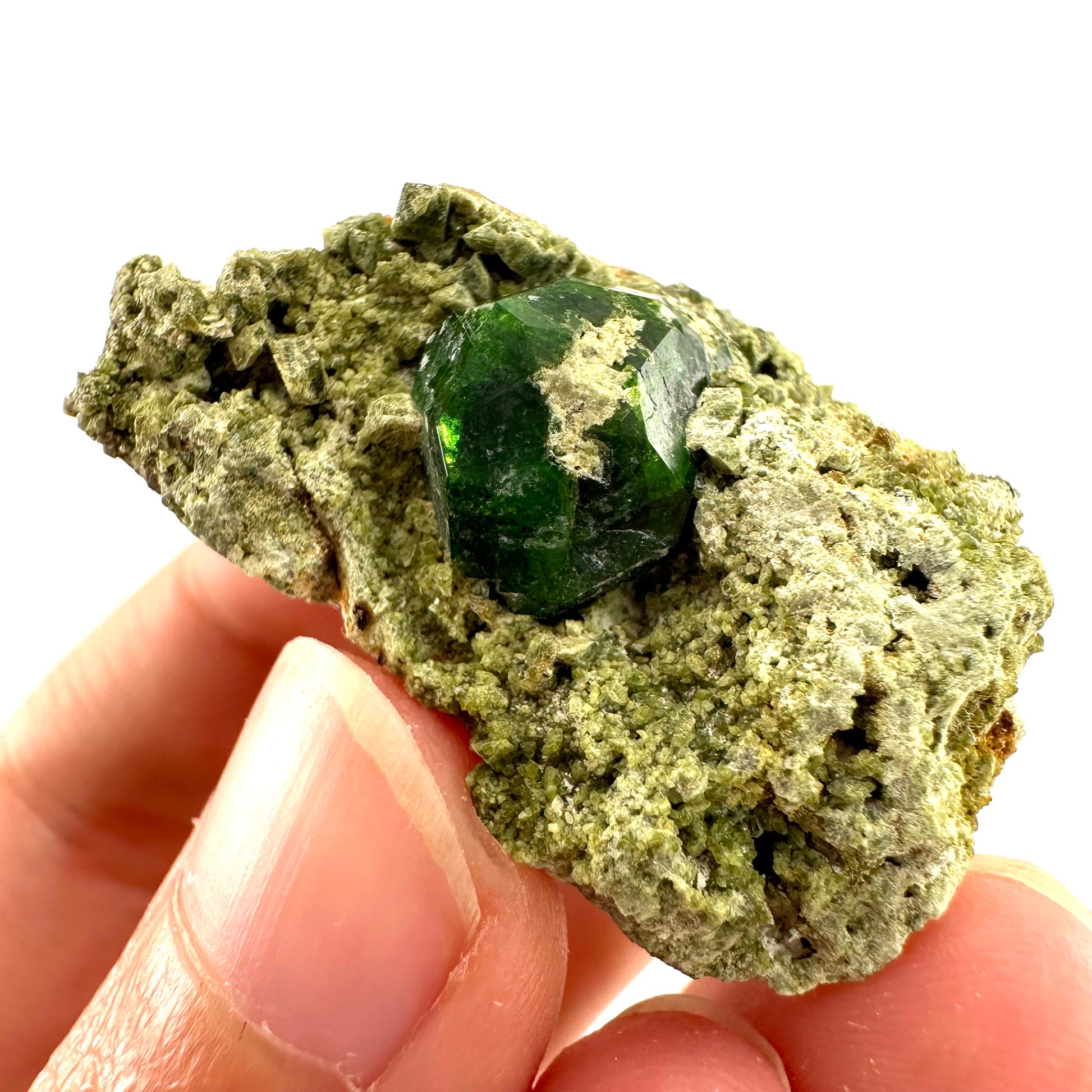 Demantoid Garnet & Diopside on Matrix (BeIqeys Mountain) | green garnet, rare minerals, demantoid garnet crystal, mineral specimen