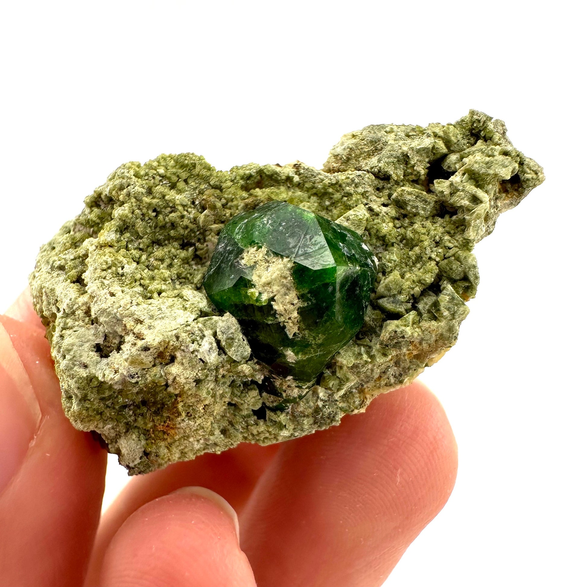 Demantoid Garnet & Diopside on Matrix (BeIqeys Mountain) | green garnet, rare minerals, demantoid garnet crystal, mineral specimen