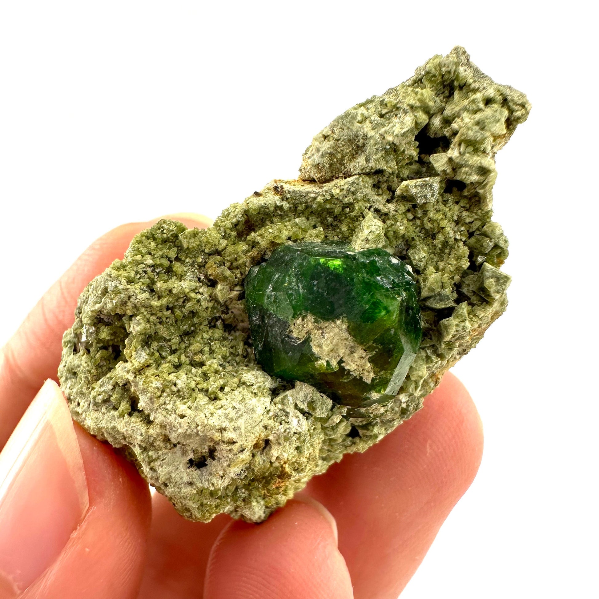 Demantoid Garnet & Diopside on Matrix (BeIqeys Mountain) | green garnet, rare minerals, demantoid garnet crystal, mineral specimen