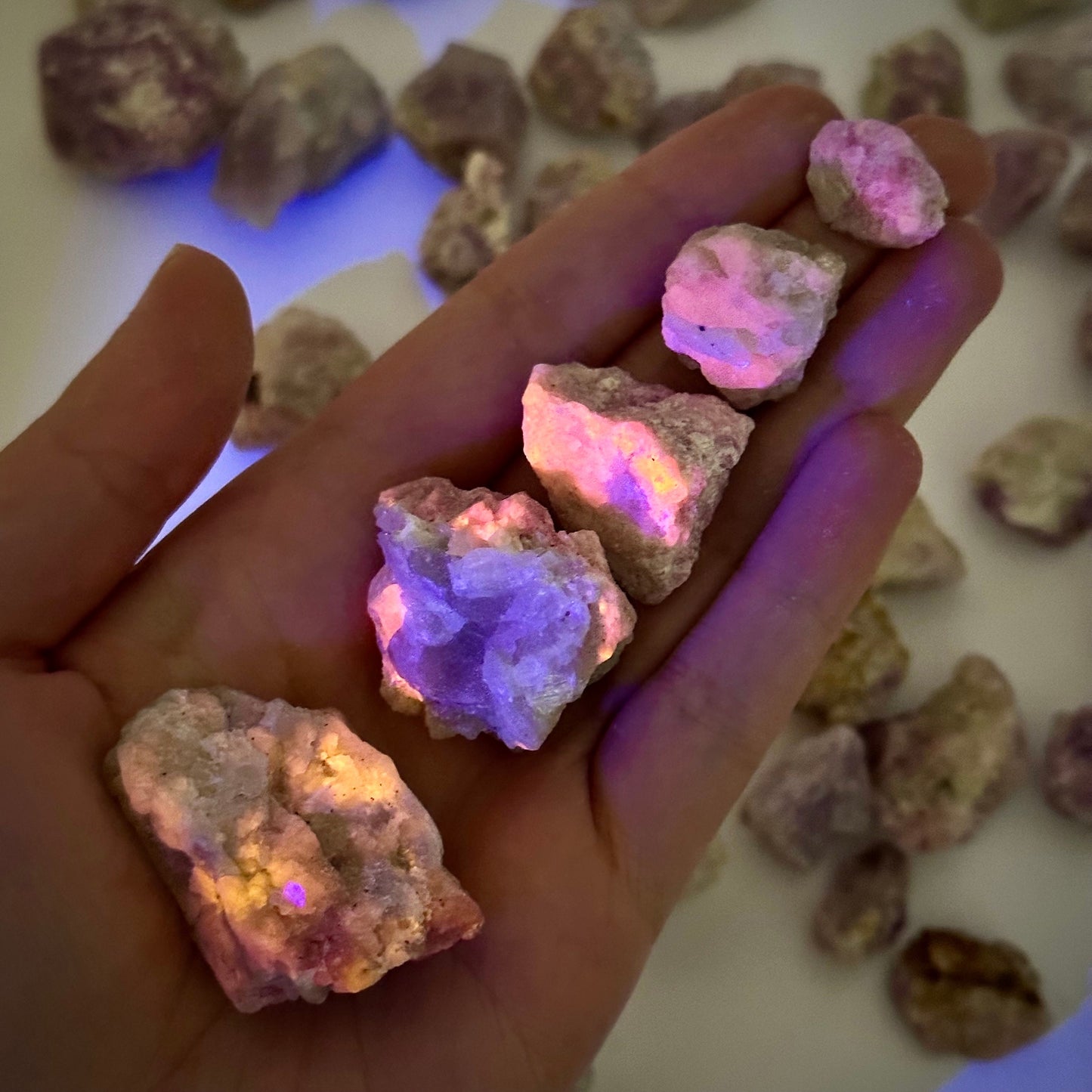 ONE UV-Reactive Hackmanite Raw Specimen | raw hackmanite, purple hackmanite, hackmanite crystal, mineral specimen